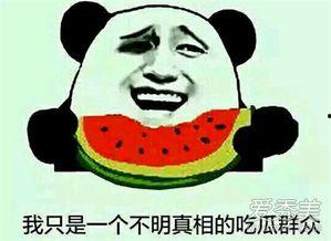 吃瓜群眾的娛樂,揭秘娛樂圈那些讓人捧腹大笑的幕后趣事