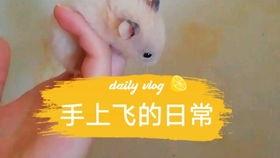吃瓜娛樂(lè)背景板,揭秘娛樂(lè)圈幕后那些事兒