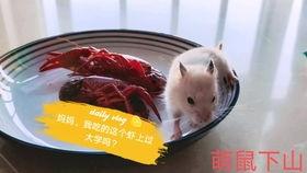 吃瓜娛樂(lè)背景板,揭秘娛樂(lè)圈幕后那些事兒