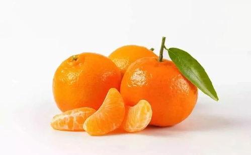 橘子娛樂(lè)吃瓜隊(duì),揭秘娛樂(lè)圈幕后風(fēng)云