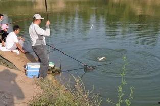 娛樂吃瓜釣魚視頻下載安裝,娛樂吃瓜釣魚視頻，輕松安裝體驗新樂趣