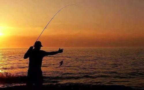 娛樂吃瓜釣魚視頻下載安裝,娛樂吃瓜釣魚視頻，輕松安裝體驗新樂趣