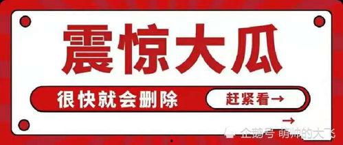 娛樂(lè)吃瓜八卦的網(wǎng)名大全,網(wǎng)名大全中的吃瓜八卦風(fēng)云錄