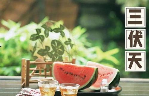 娛樂吃瓜健康養(yǎng)生小說,娛樂、吃瓜與身心健康的小說之旅
